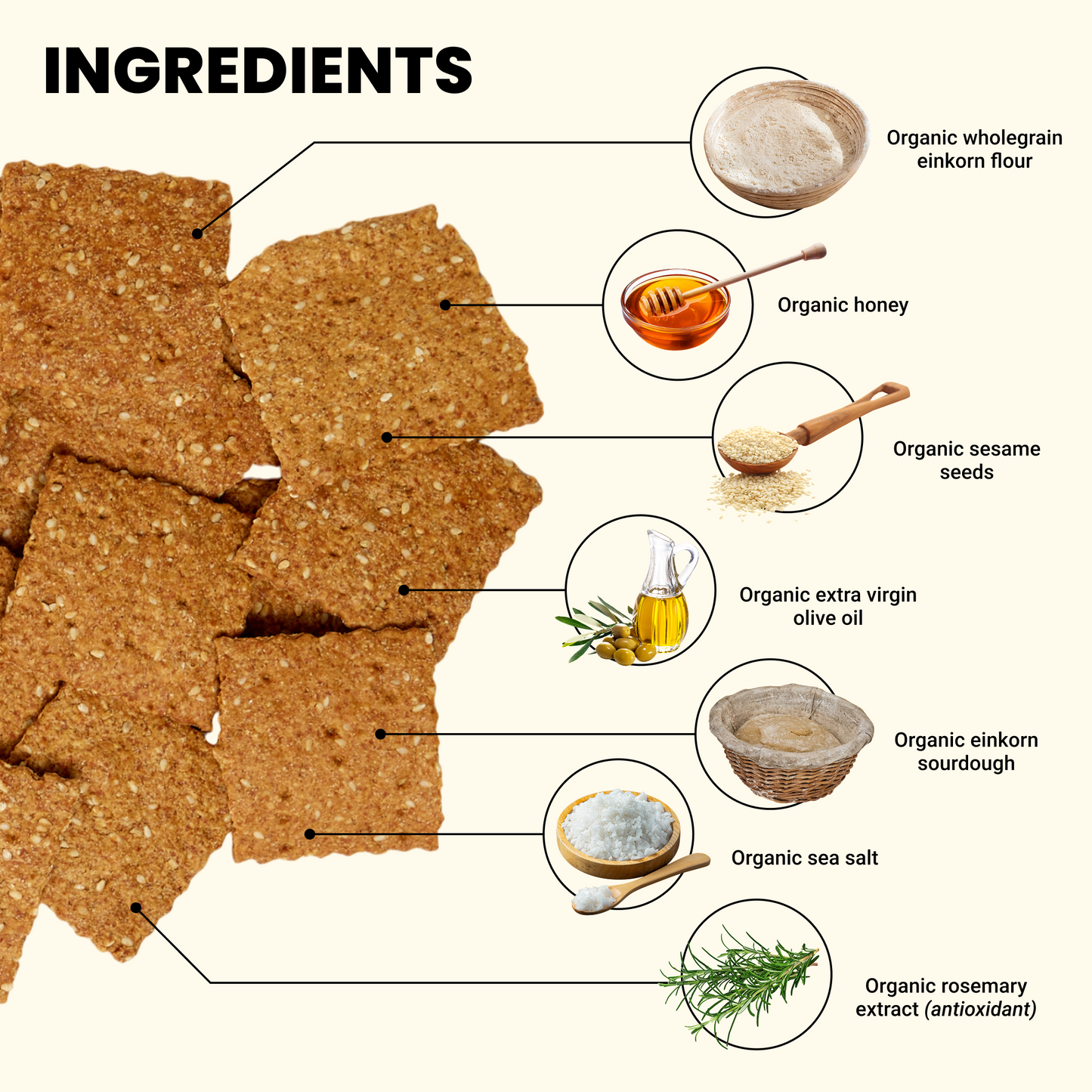 Toasted Sesame & Honey Crackers