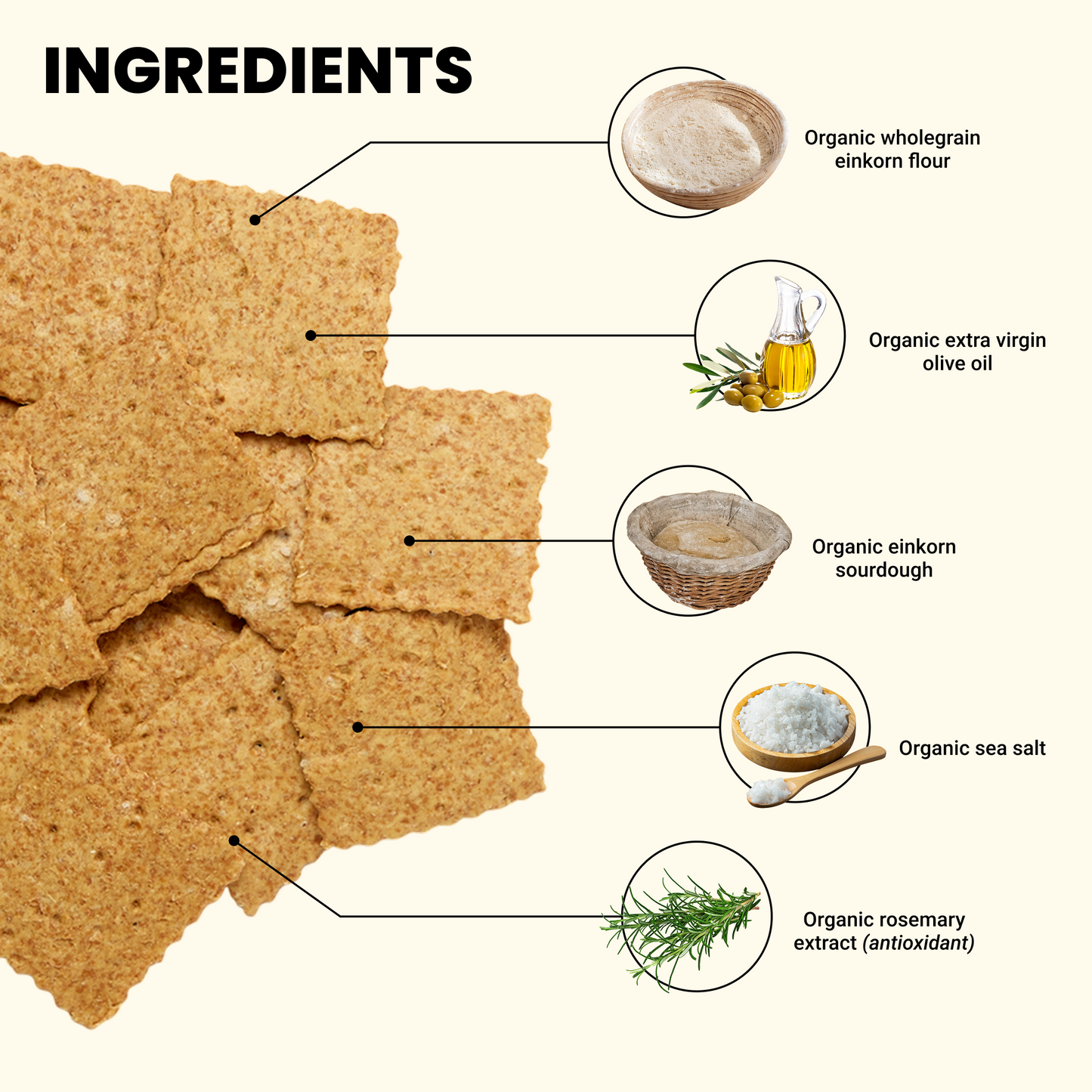 Artisan’s Daily Crackers