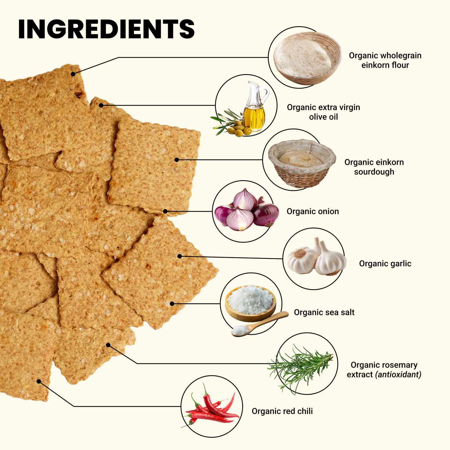 Roasted Garlic & Chili Crackers