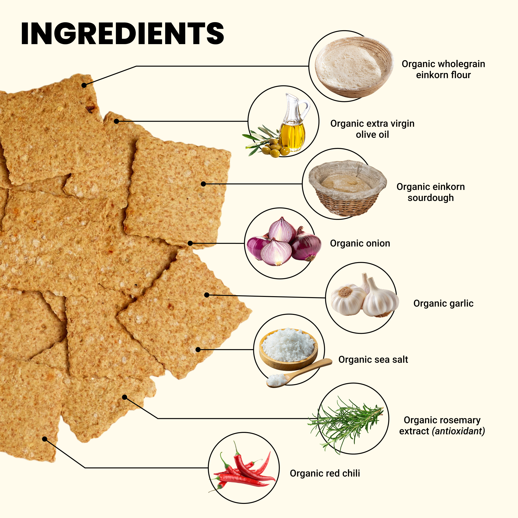 Roasted Garlic & Chili Crackers