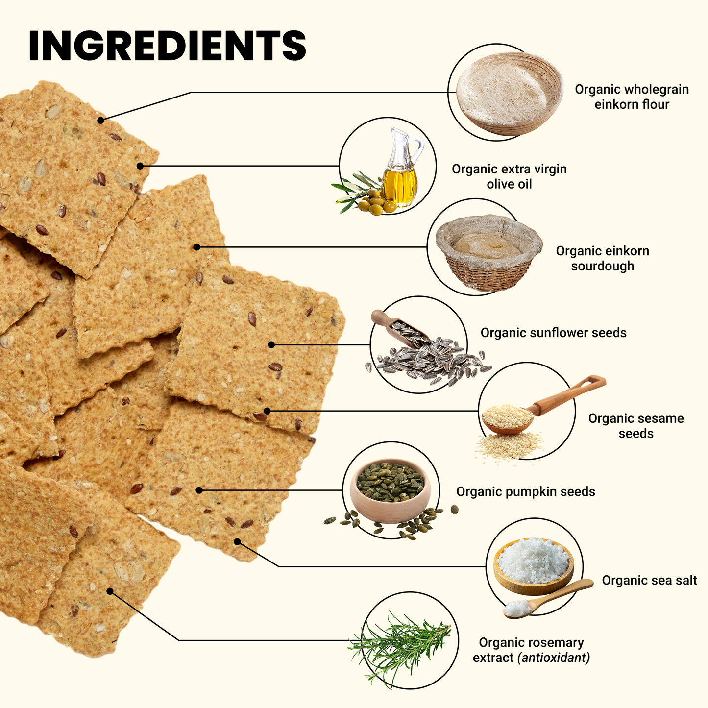 Galletas saladas con semillas y sal marina
