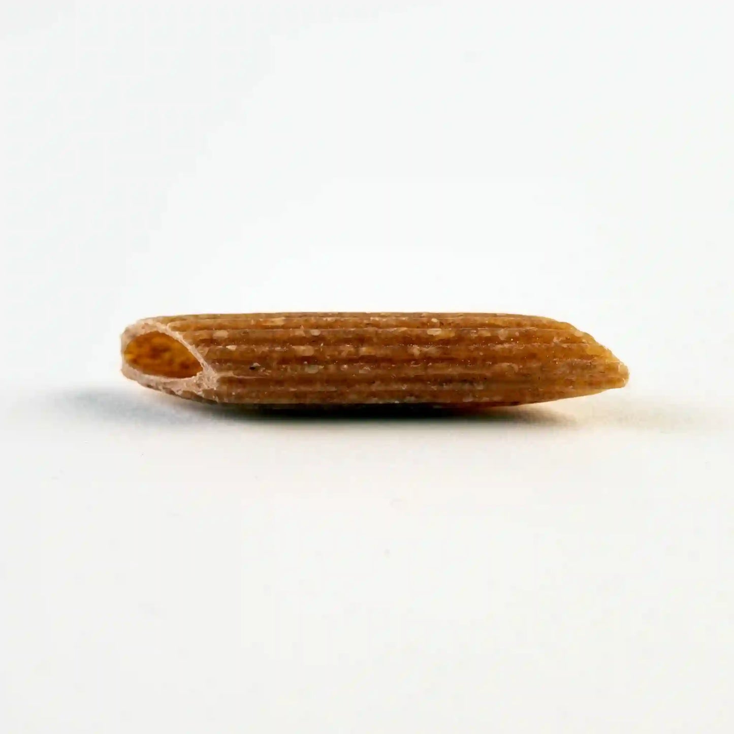 Close-up of single piece of uncooked Organic Einkorn Penne