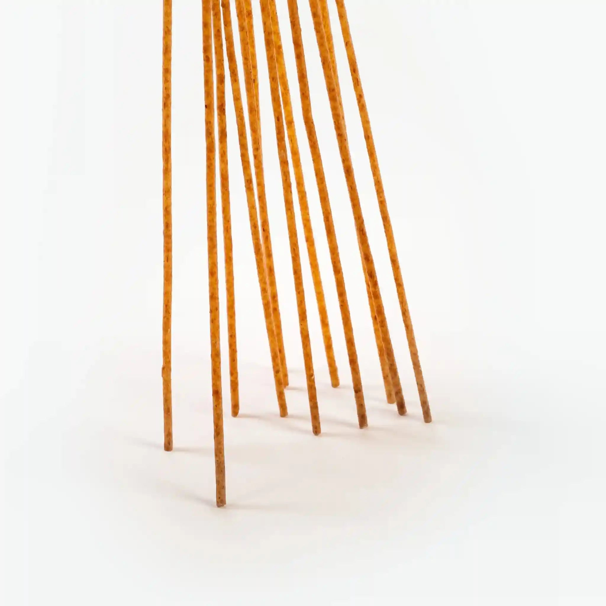 Close-up of multiple pieces of uncooked Organic Einkorn Spaghetti